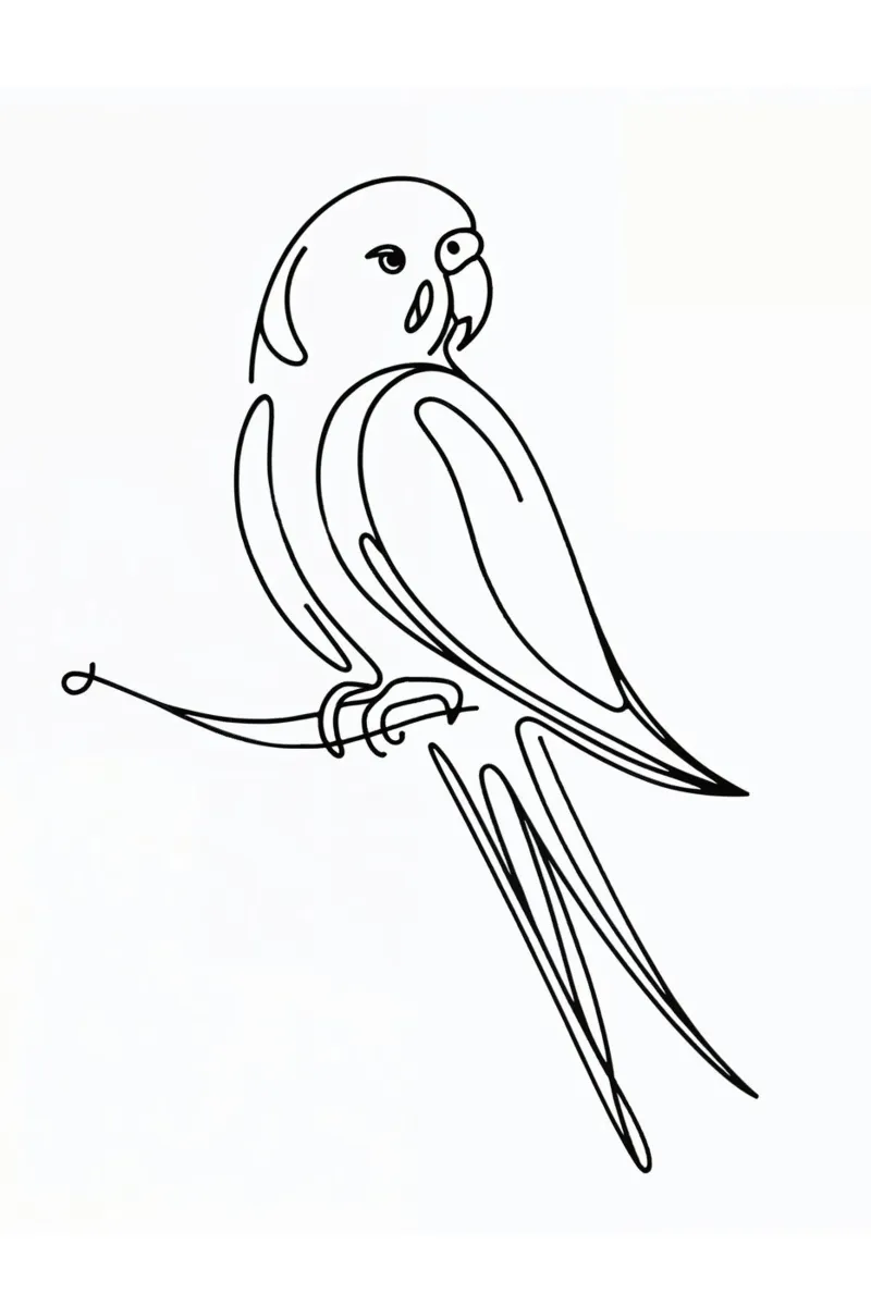 Parakeet Bird Line Art Drawing canvas by WijdevenDesign