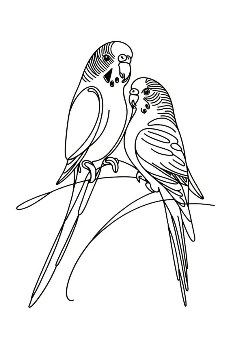 Disegno d'arte lineare di un uccello parrocchetto carta hahnemühle da WijdevenDesign