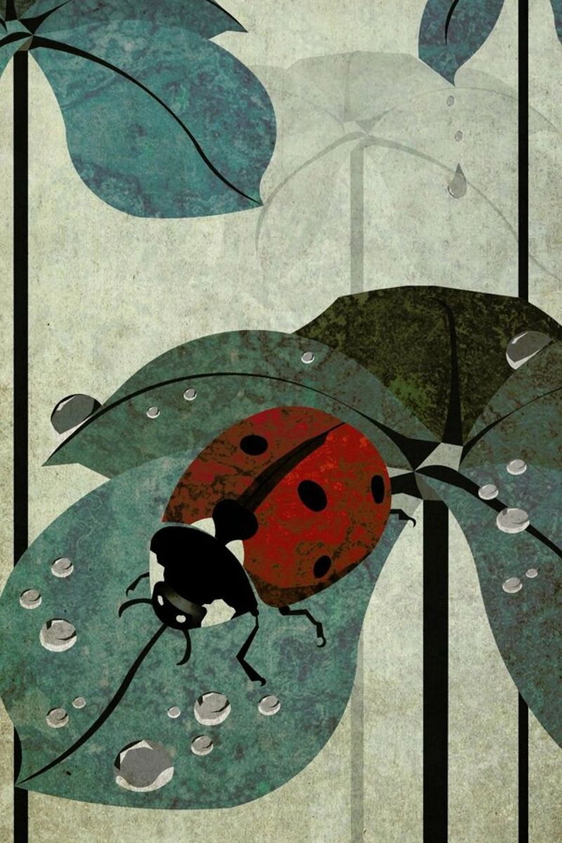 Marienkäfer poster by Sabrina Ziegenhorn