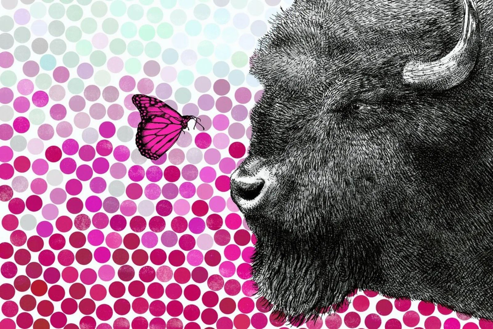 Bison and Butterfly pellicola backlit da Eric Fan