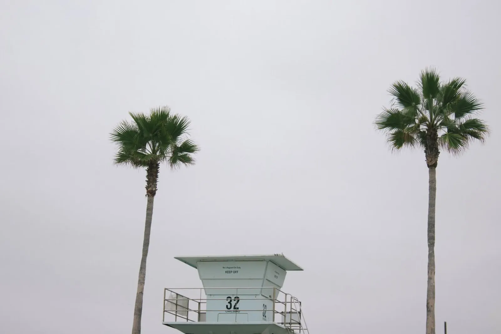 Lifeguard unter Palmen pellicola backlit da The Wild Creative Studio