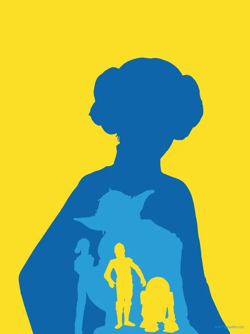 Ikonen des Widerstands poster con telaio in plastica da Star Wars