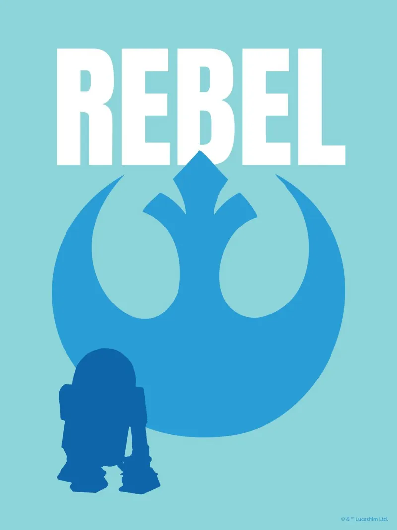 REBEL poster con telaio in plastica da Star Wars