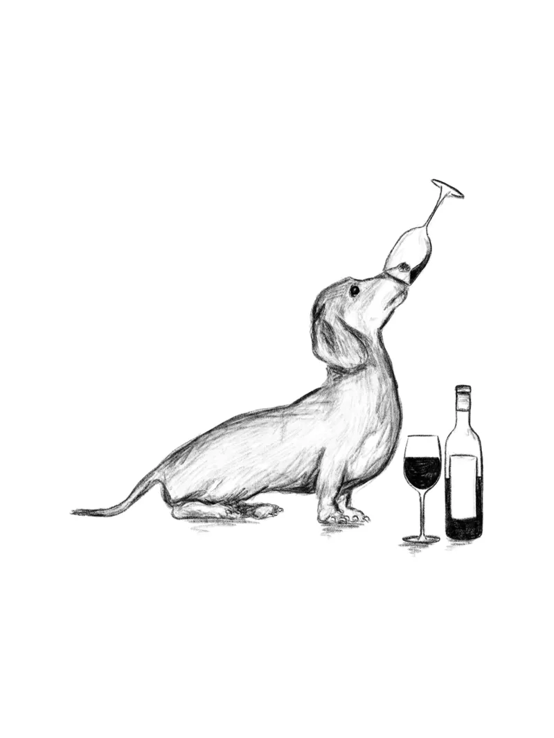 Dachshund and Wine Drawing hahnemühle de Nina May Art