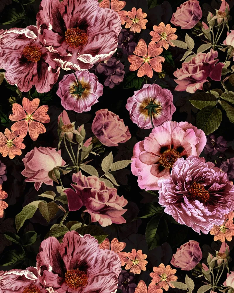 Baroque Pink Peonies Mystic Midnight Flower Garden acrylic glass by Flower Garden - Uta Naumann