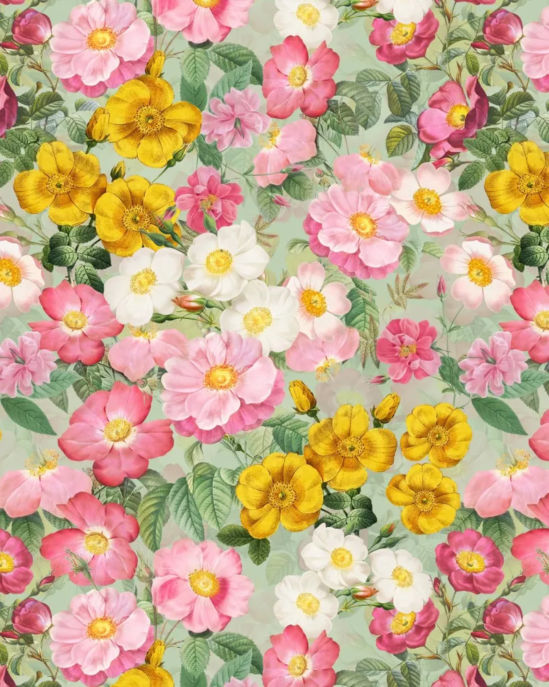 Rose Redouté soleggiate Giardino estivo poster da Flower Garden - Uta Naumann