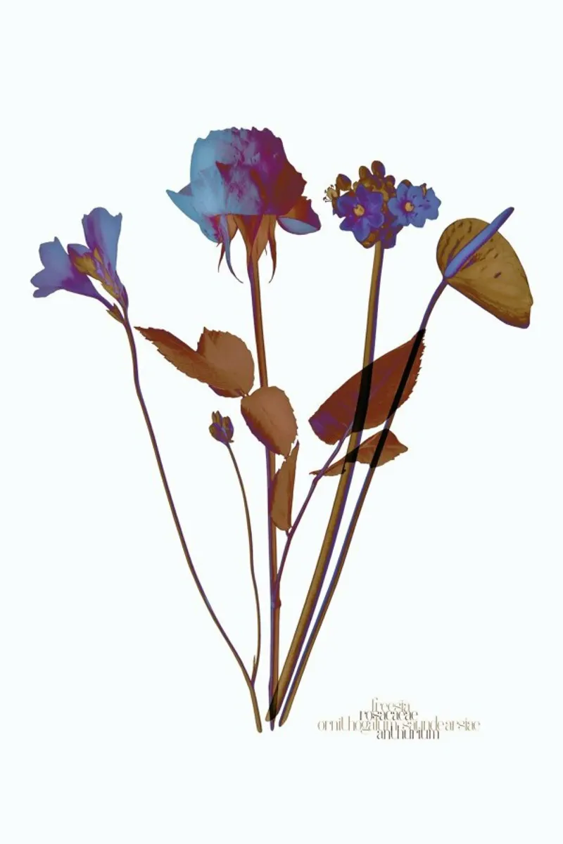 Ode aux Fleurs (Blue) poster con telaio in alluminio da BlauMaschine