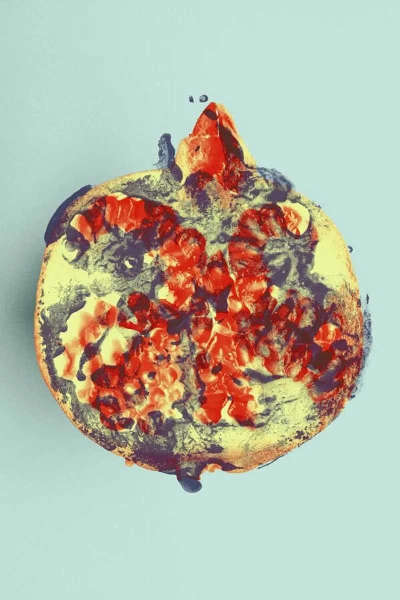Ode aux Légumes - Pomegranate pannello forex da BlauMaschine