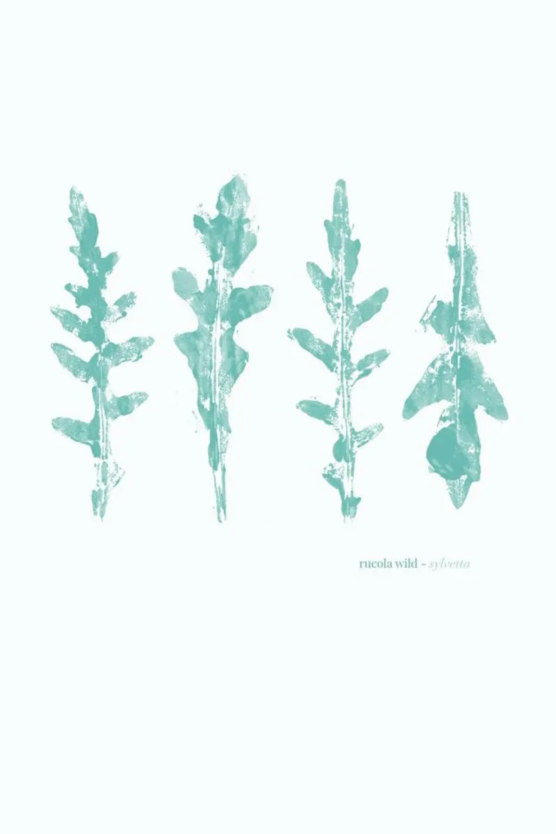Rucola Wild hahnemühle van BlauMaschine