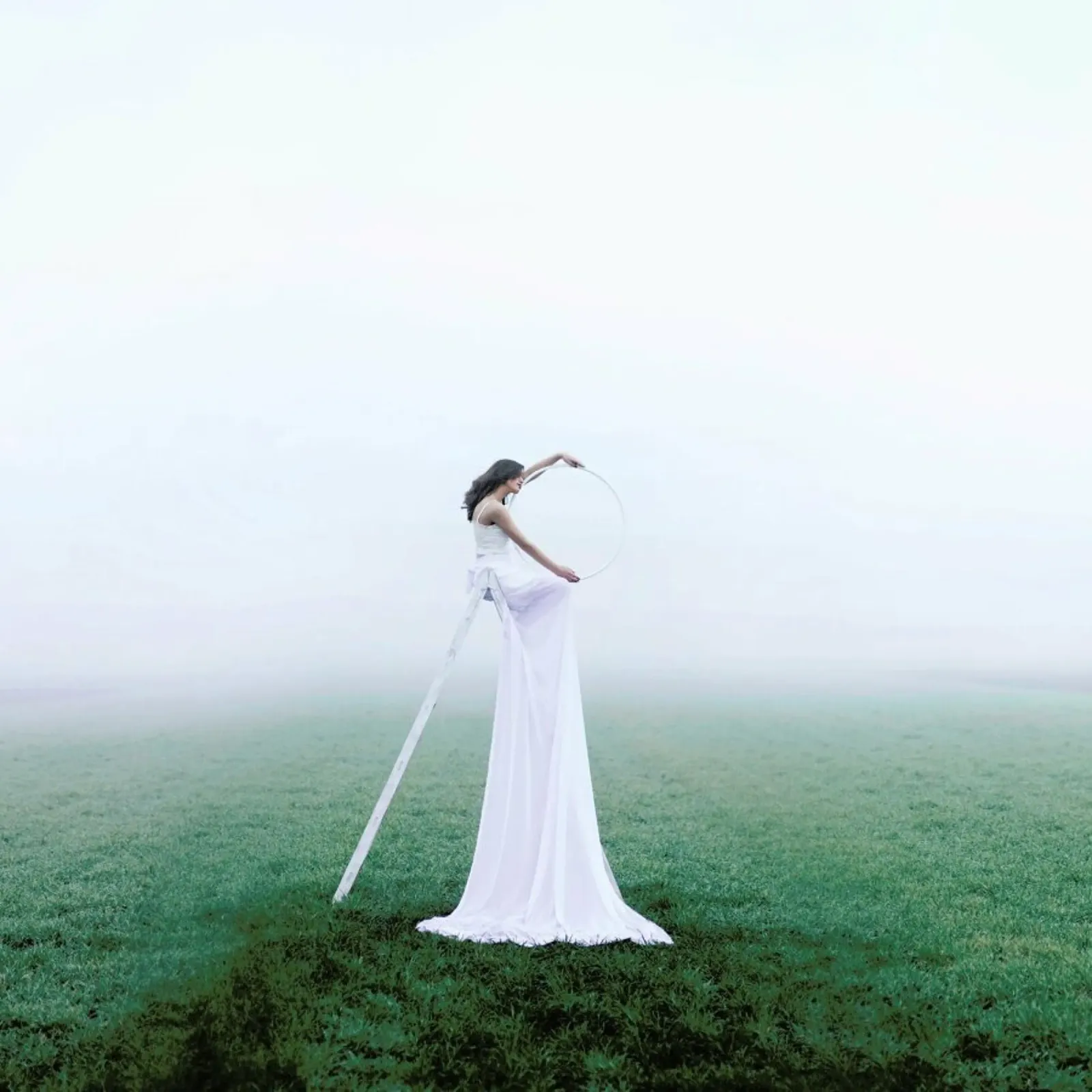 Step In Another World pannello forex da Jovana Rikalo