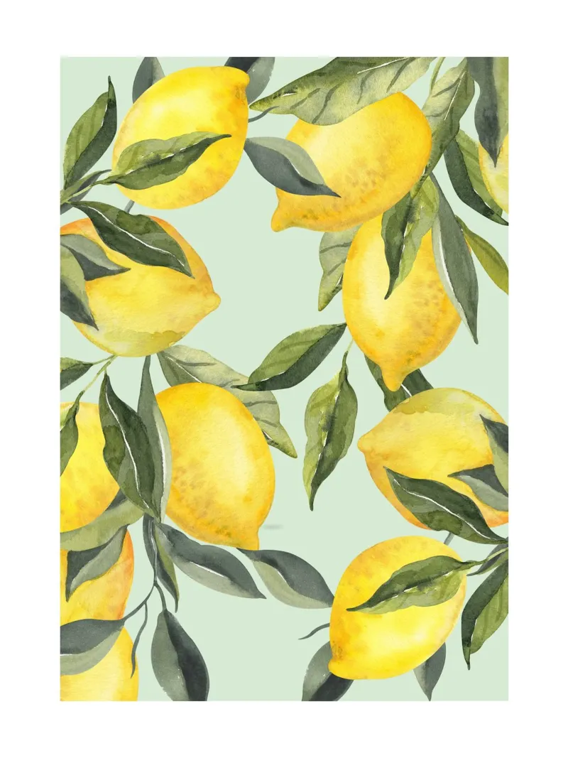 Lemon Print Wandkunst Hahnemühle von Bella Studio