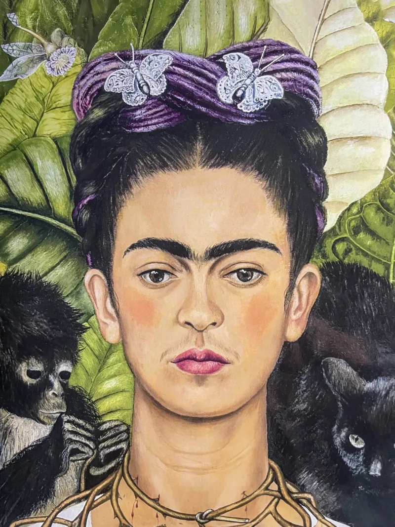 Frida con spine e scimmia carta hahnemühle da Carinaprint