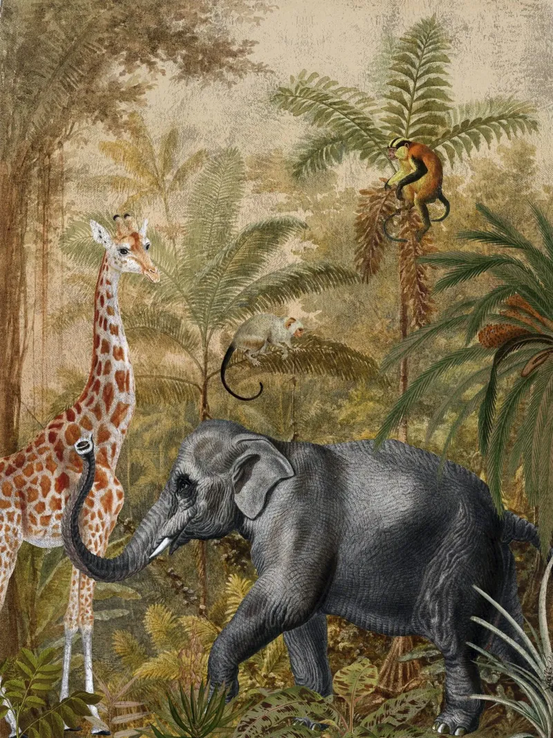 Foresta tropicale vintage con animali poster da Vintage World - Uta Naumann