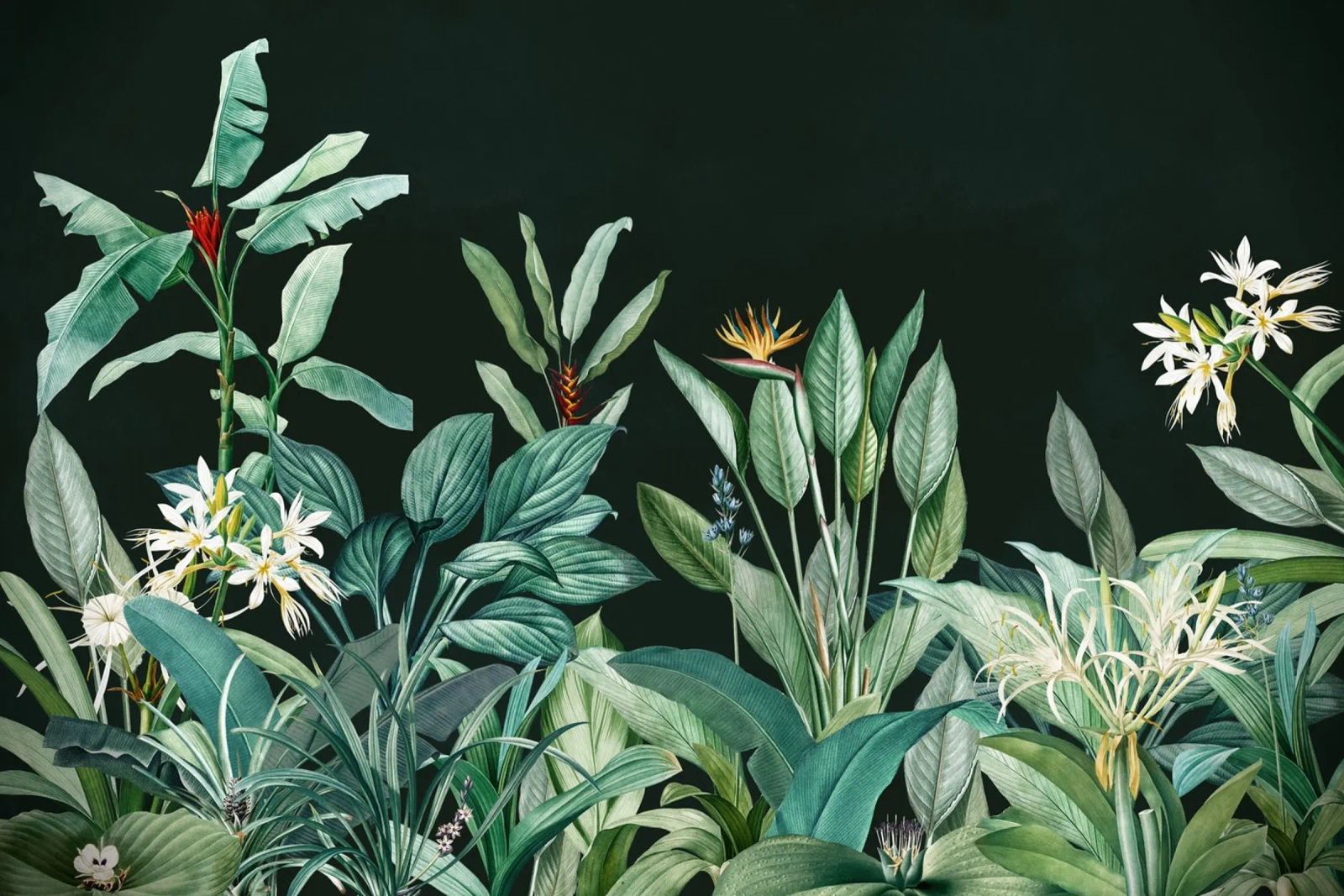Midnight Mystic Tropical Landscape Garden poster de Vintage World - Uta Naumann