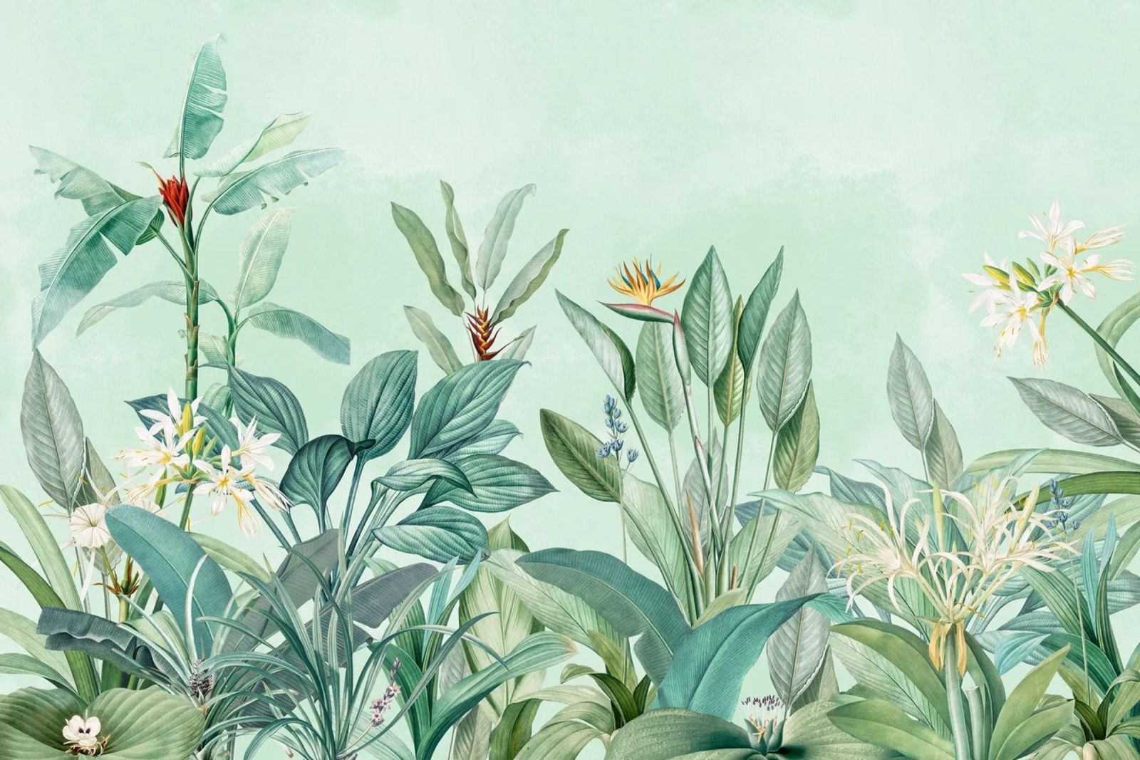 Vintage Tropical Garden poster by Vintage World - Uta Naumann