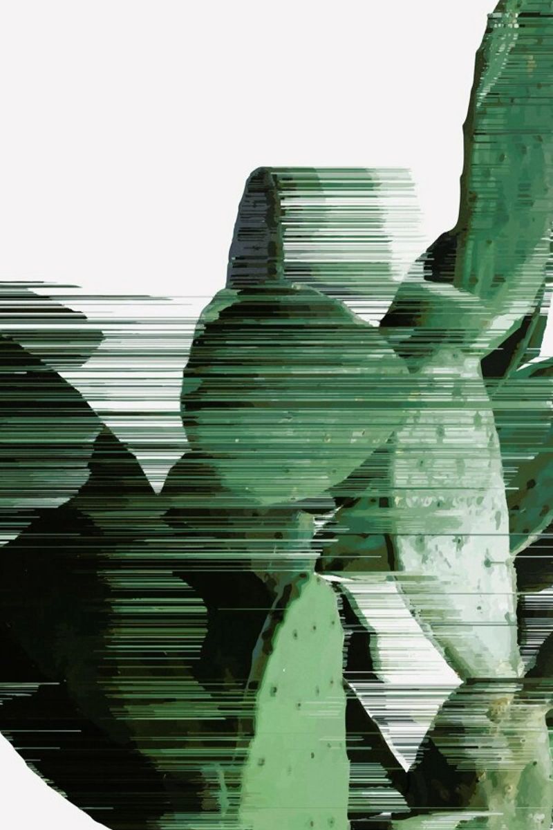 Sorted Cactus plexiglass da Adam Priester