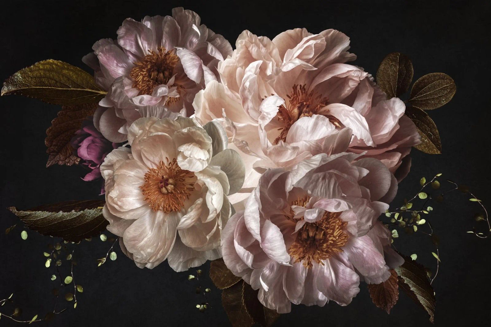Ramo Medianoche Vintage Blush Peonies poster de Flower Garden - Uta Naumann