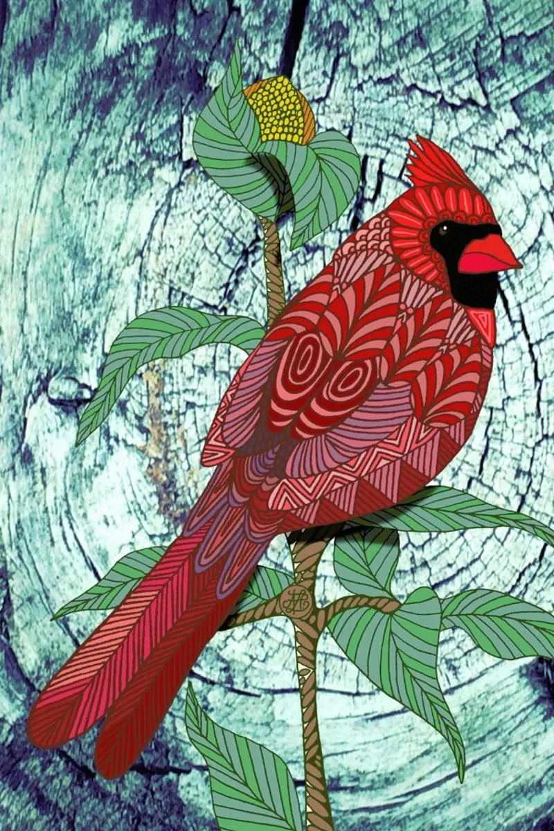 Virginia Cardinal hahnemühle by Angelika Parker
