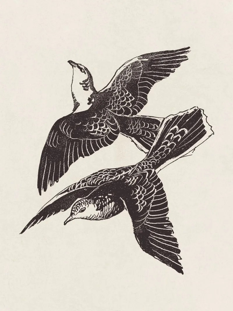Two Birds in Flight pellicola backlit da apoloprints