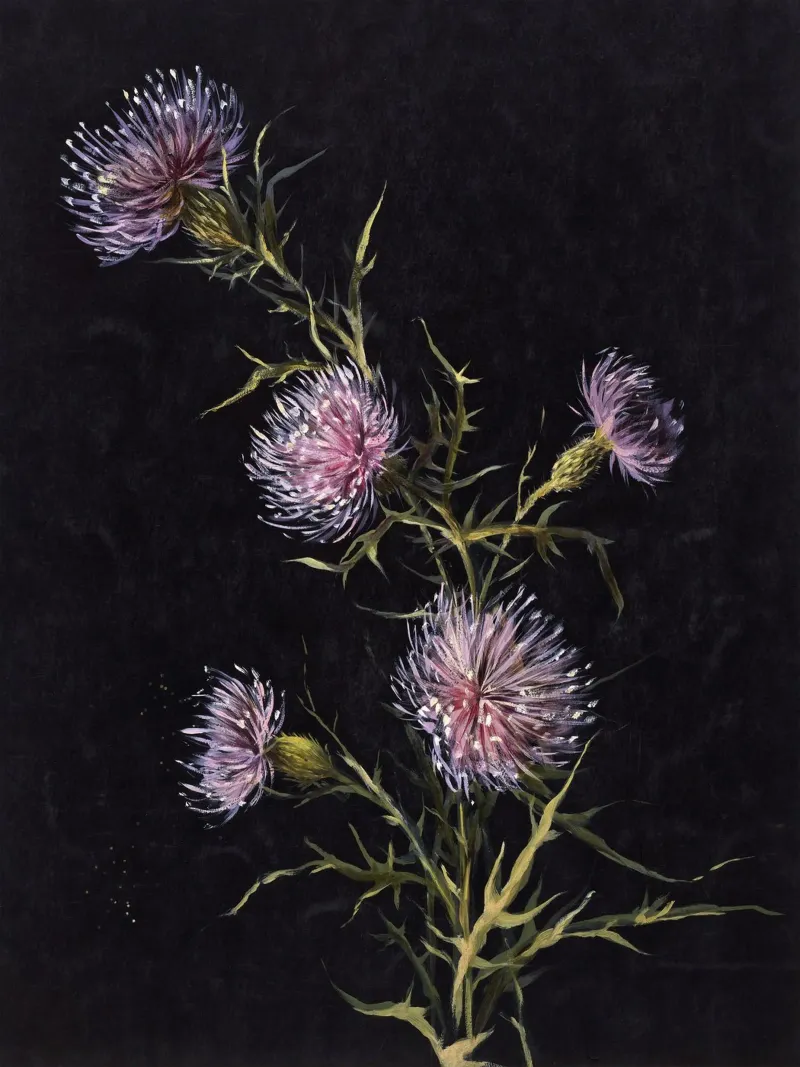 Thistle Branch Painting tela con Cornice a cassetta da apoloprints