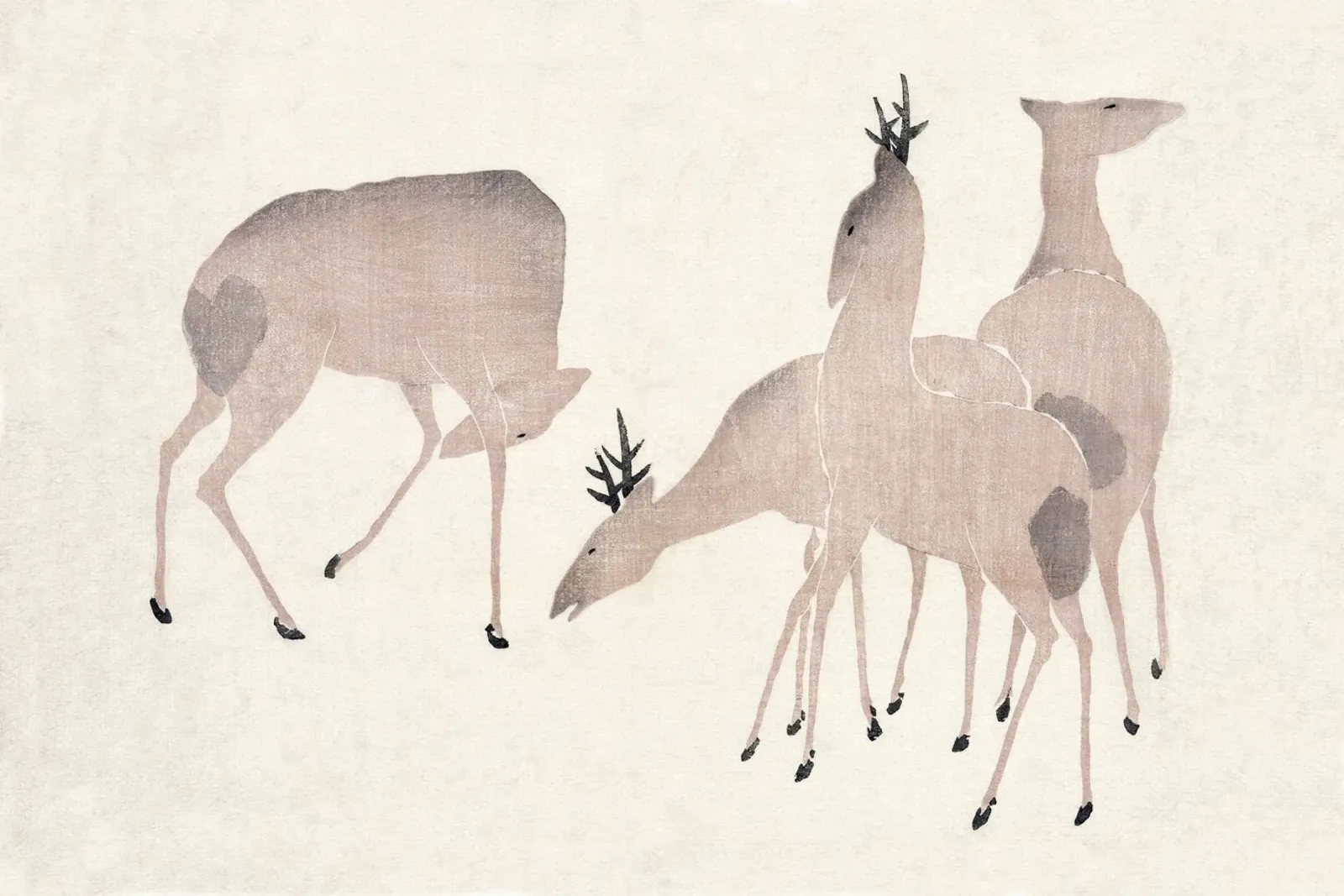 Four deer pellicola backlit da apoloprints