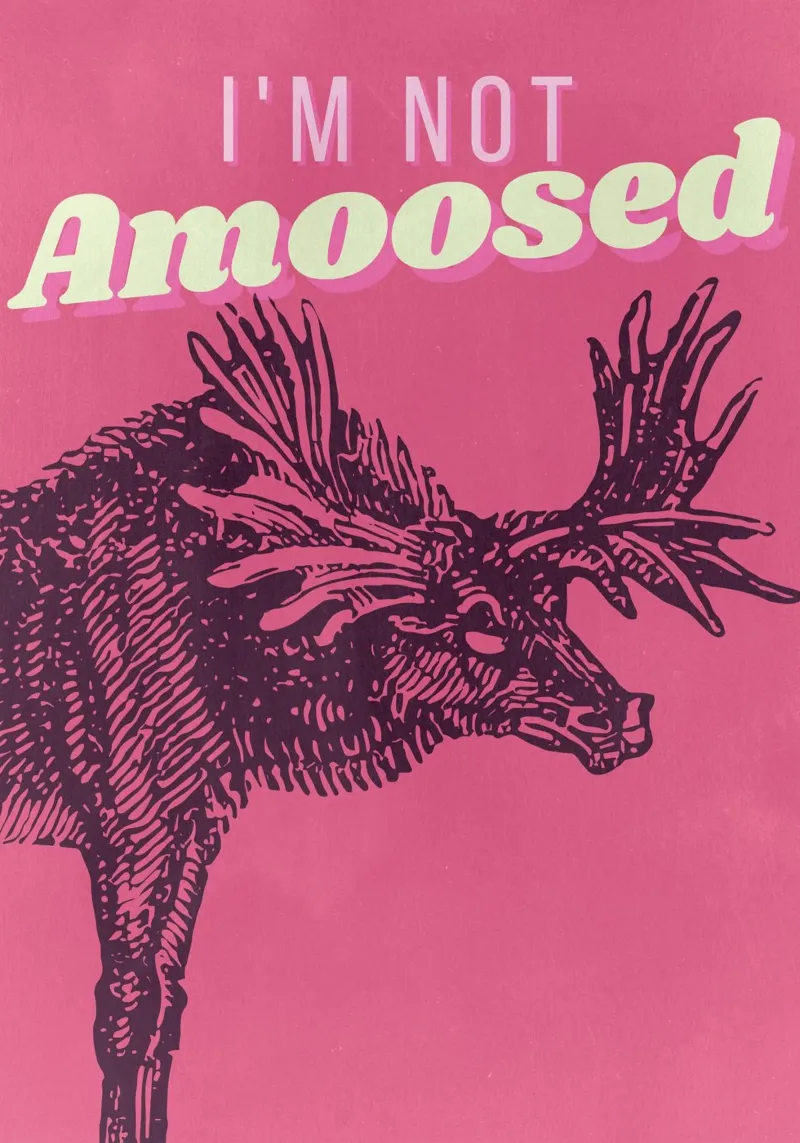 “I’m Not Amoosed” - Winter Holiday Wall Art alu dibond de ChristmasMooodz