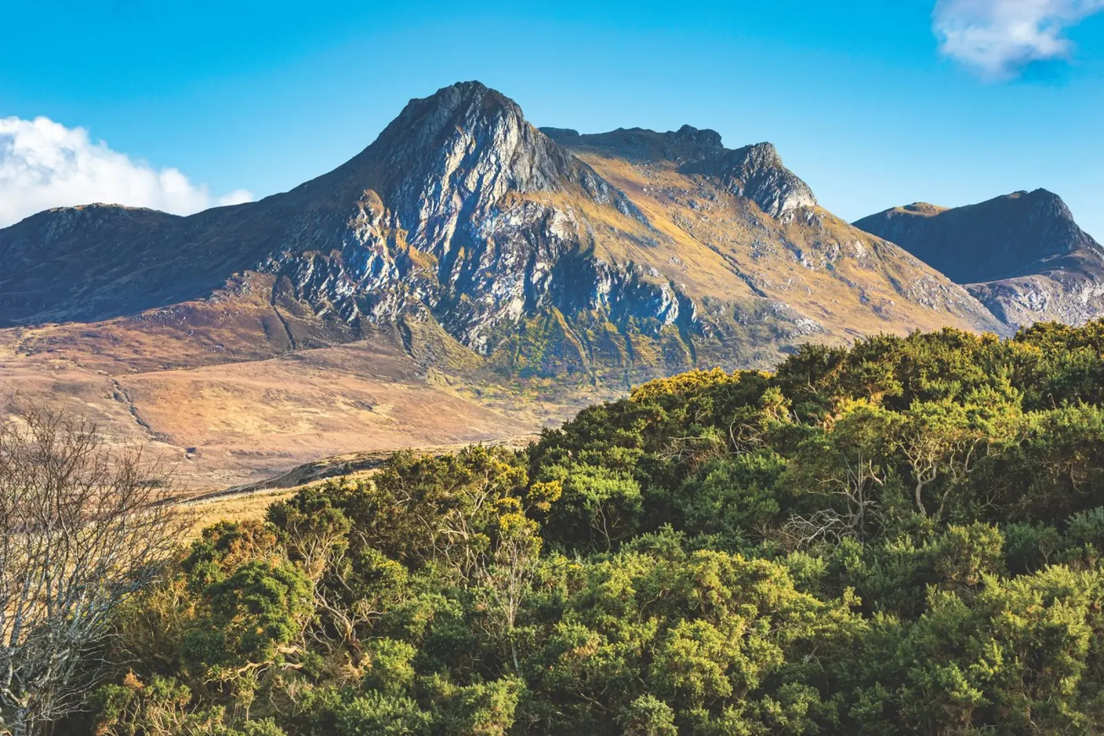 Highland woods and mountains canvas with Floater frame by Dave Hare Photography