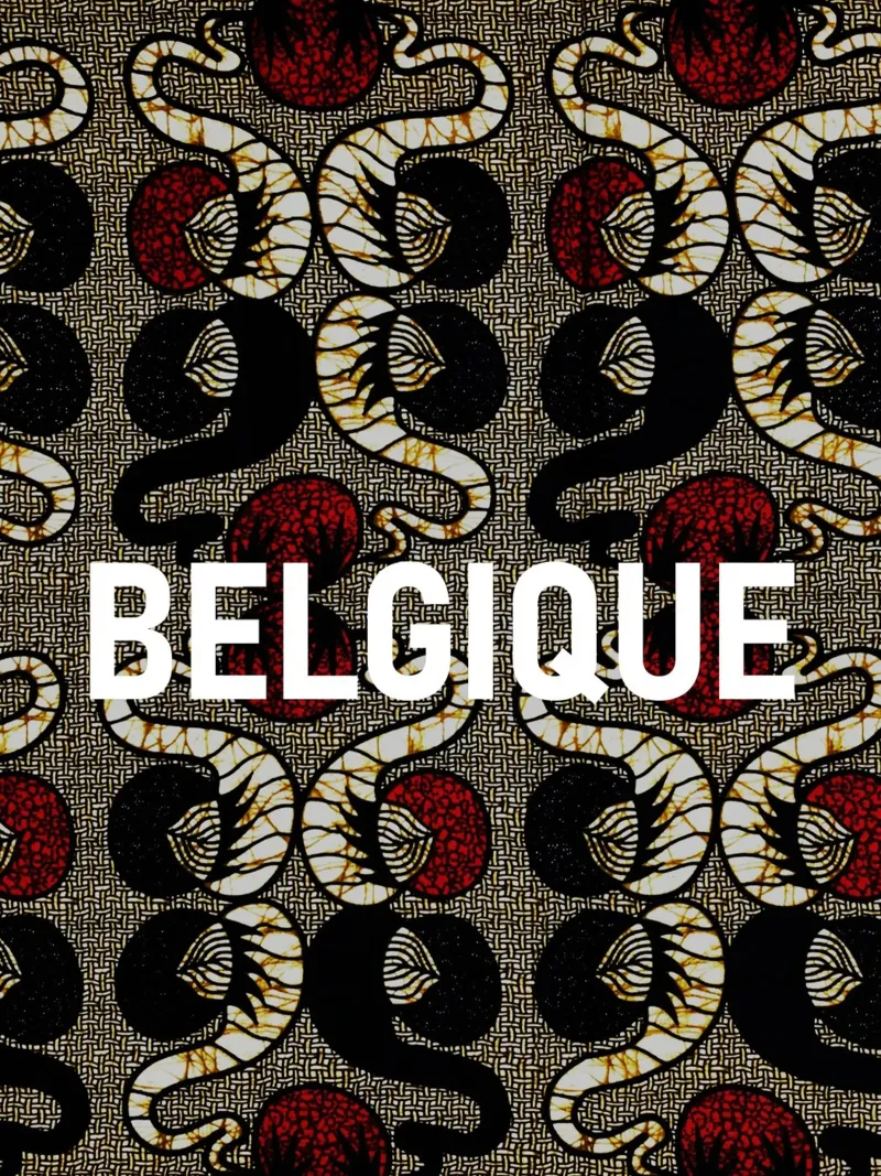 Belgique poster with aluminum frame by Mathudace Créas