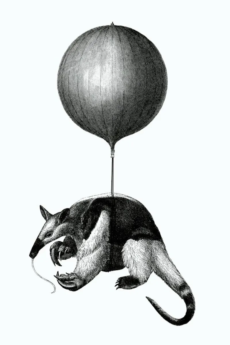 Anteater Balloon poster con telaio in alluminio da The Gently Unfurling Sneak