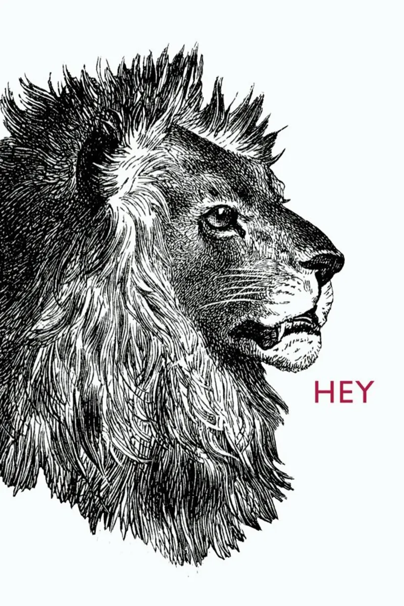 Hey Lion pellicola backlit da The Gently Unfurling Sneak