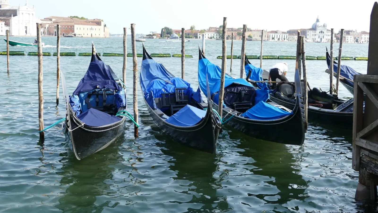 Un momento di tranquillità a Venezia pellicola backlit da Alexandra Joseph Fotomomente