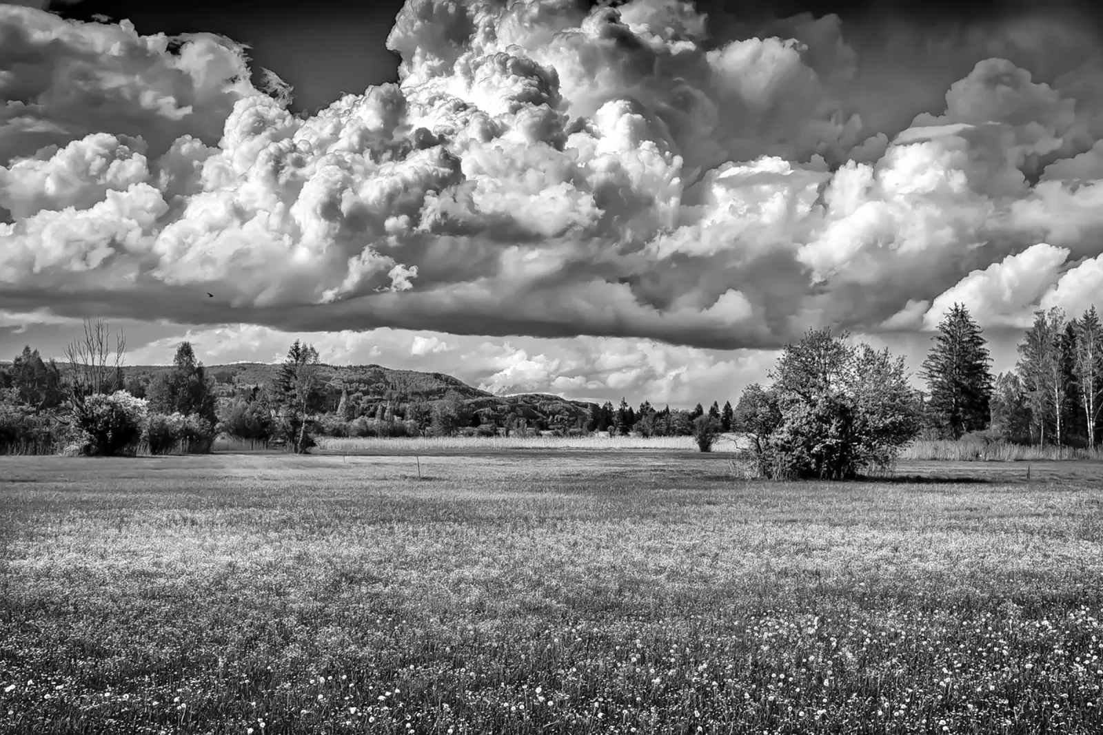 Wolkenfelder hahnemühle by Edenart