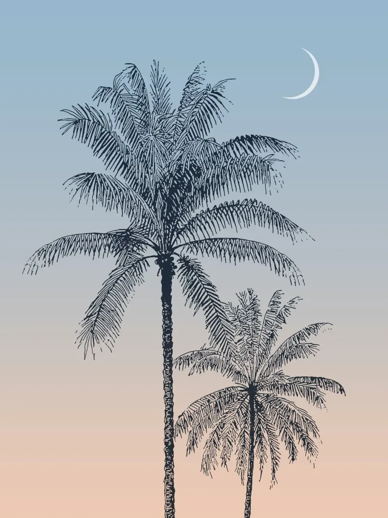 Boho Palm Tree Sunset pellicola backlit da apoloprints
