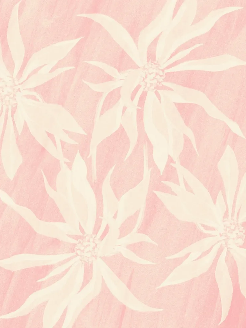 Boho Poinsettia pellicola backlit da apoloprints