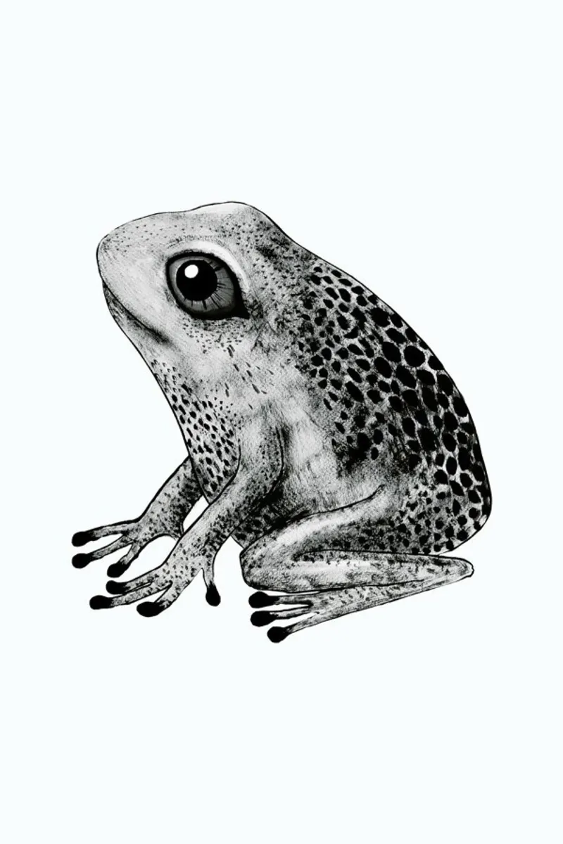 Frog pellicola backlit da Tvinkla