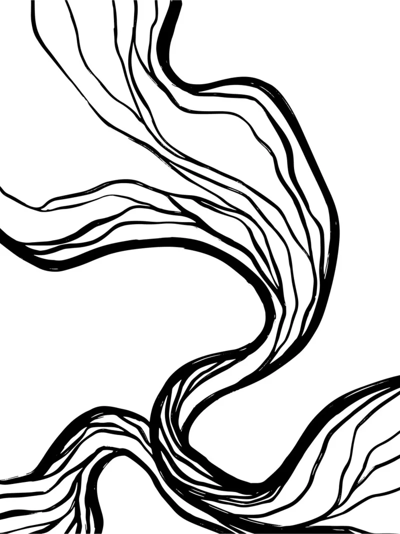 Line art design organico - minimale e moderno pellicola backlit da Whole©