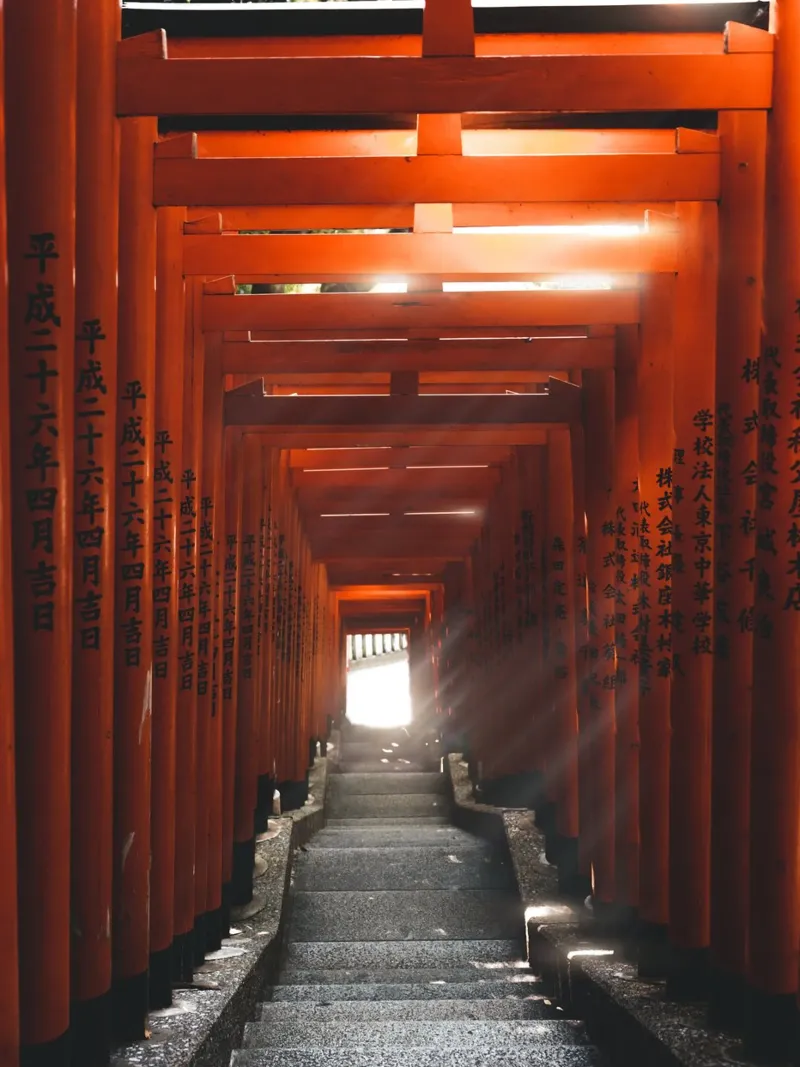 Porte Torii - Sentieri tra i mondi carta hahnemühle da fokusfernweh