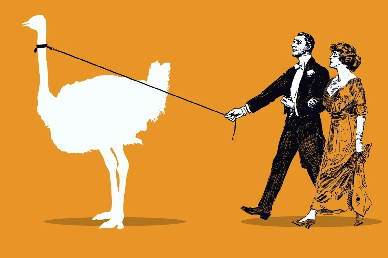Walking The Ostrich pellicola backlit da Rob Art | Illustration