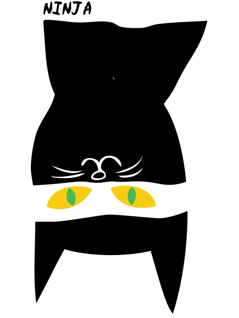grappig kat ninja kunstontwerp hahnemühle van ririedis