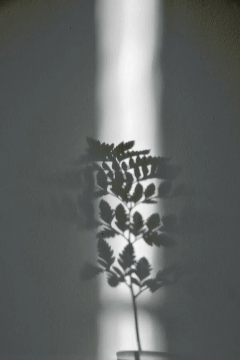Ray Of Sunlight pellicola backlit da Studio Nahili