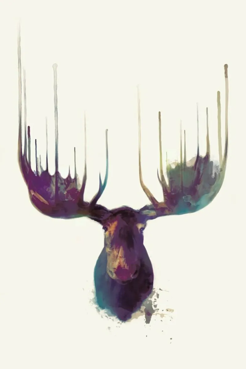 Moose pellicola backlit da Amy Hamilton