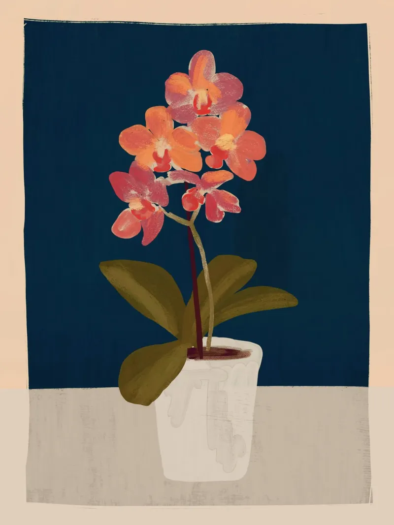 Orchidea pellicola backlit da ThingDesign