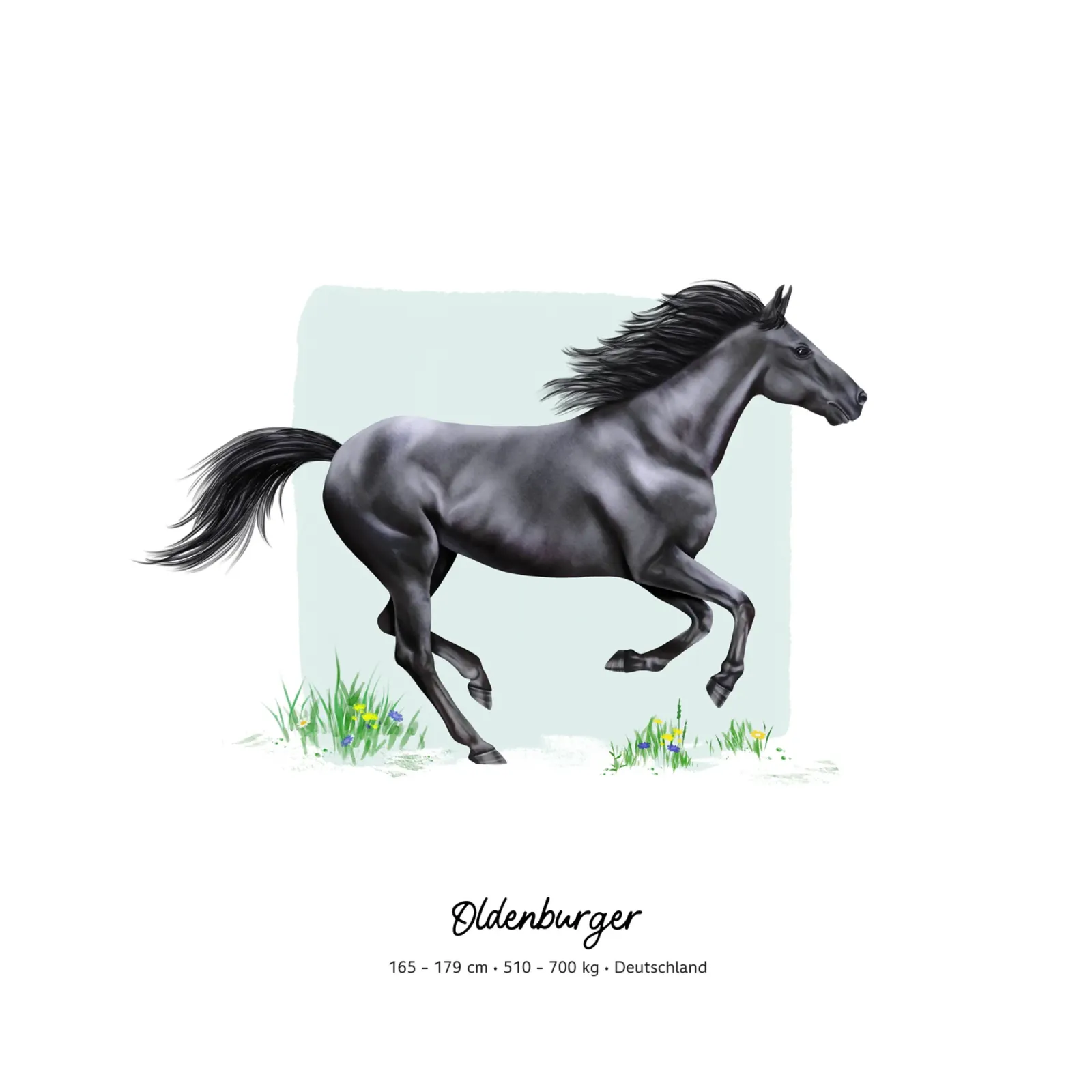 Oldenburger • Pferde Illustration poster with aluminum frame by Moonlit Illustrations