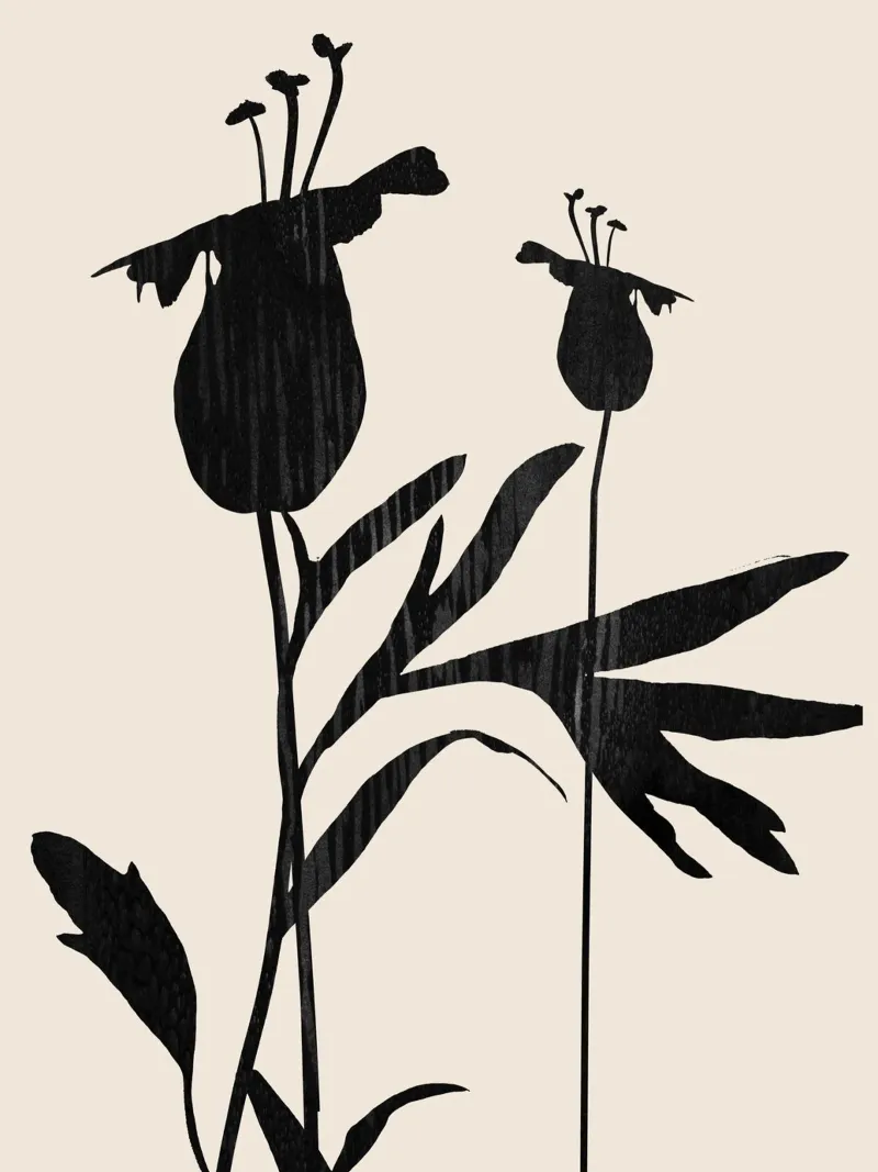 Abstrakte Kunst Minimal Pflanze a1 Hahnemühle von ThingDesign