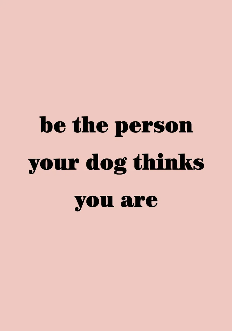 be the person pellicola backlit da WORD & WONDER