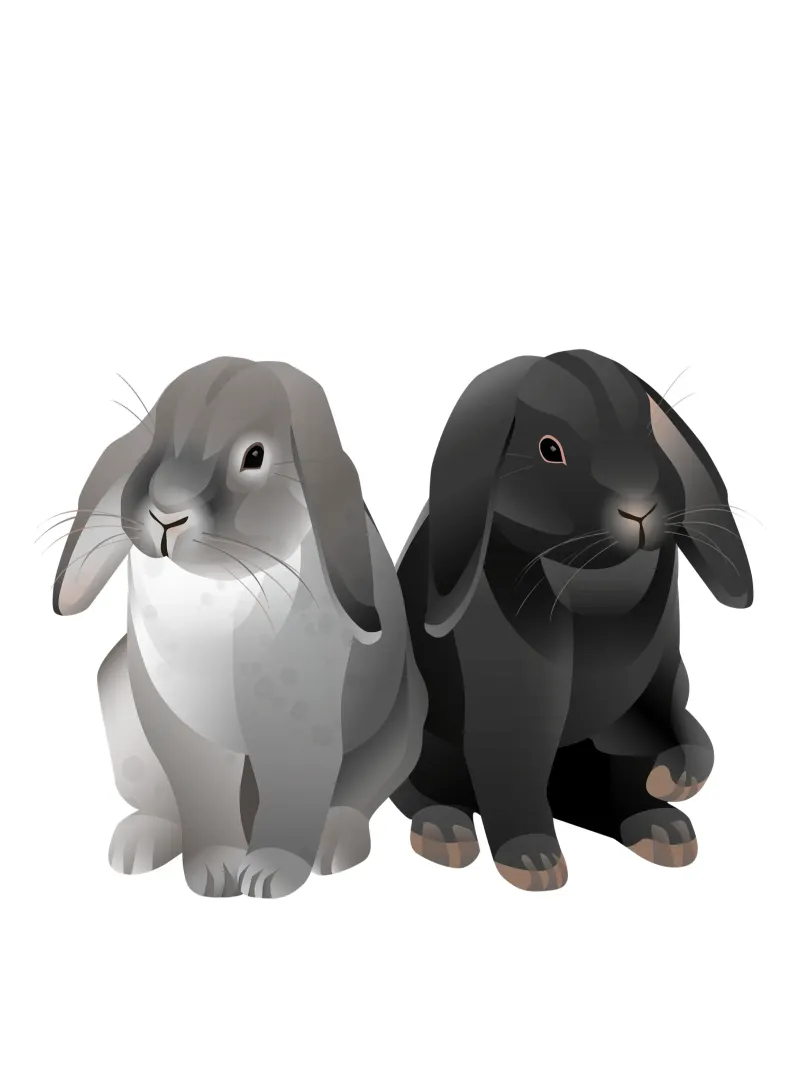 Two cute rabbits Acryl-Glas von Schuhmann Design