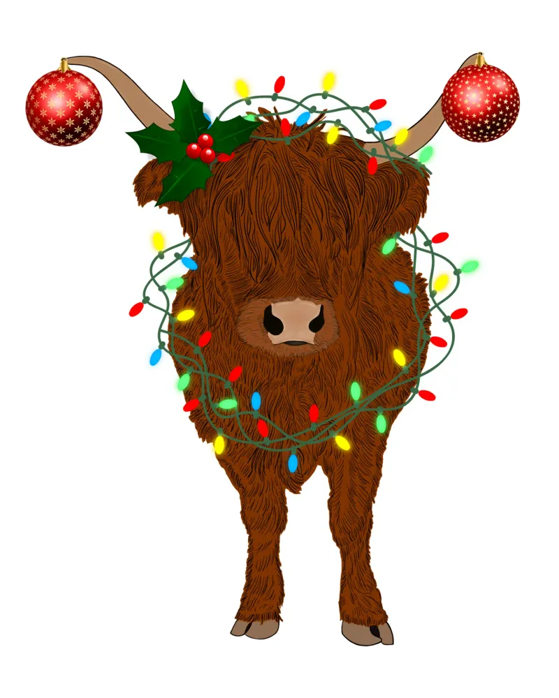 LUCI NATALIZIE AGGROVIGLIATE SU HIGHLAND COW pellicola backlit da ARTOMATIC