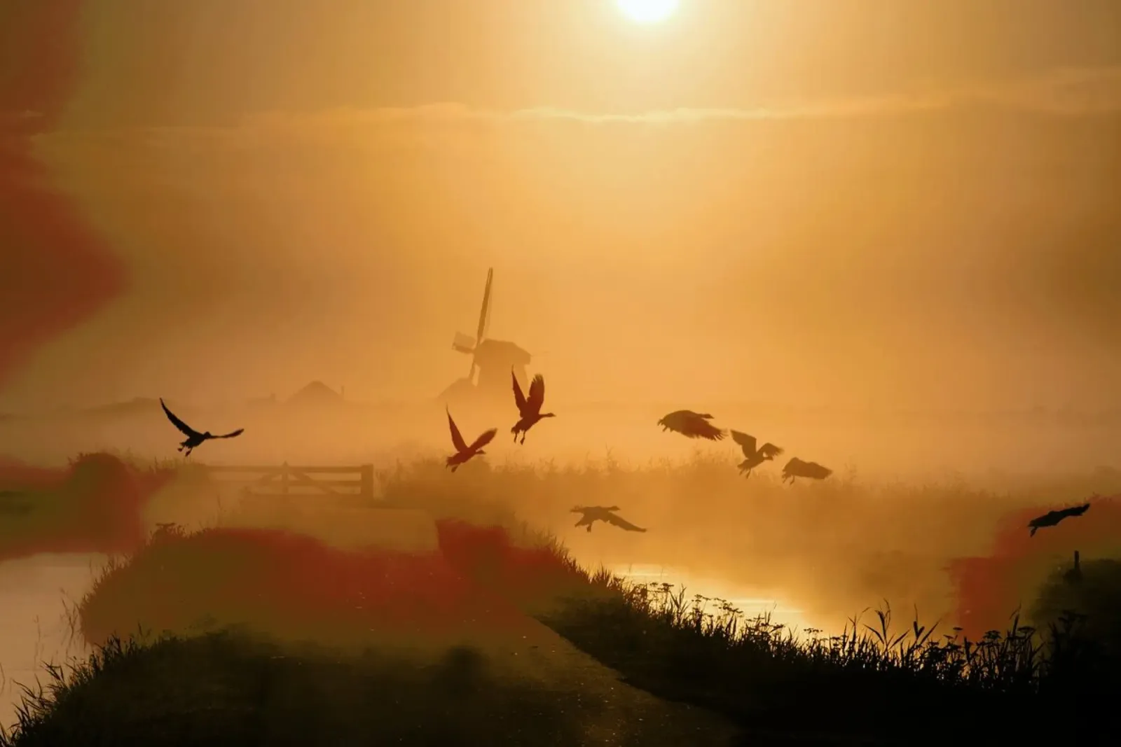 Sunrise Flight - Harm Klaverdijk poster con telaio in alluminio da Pictufy