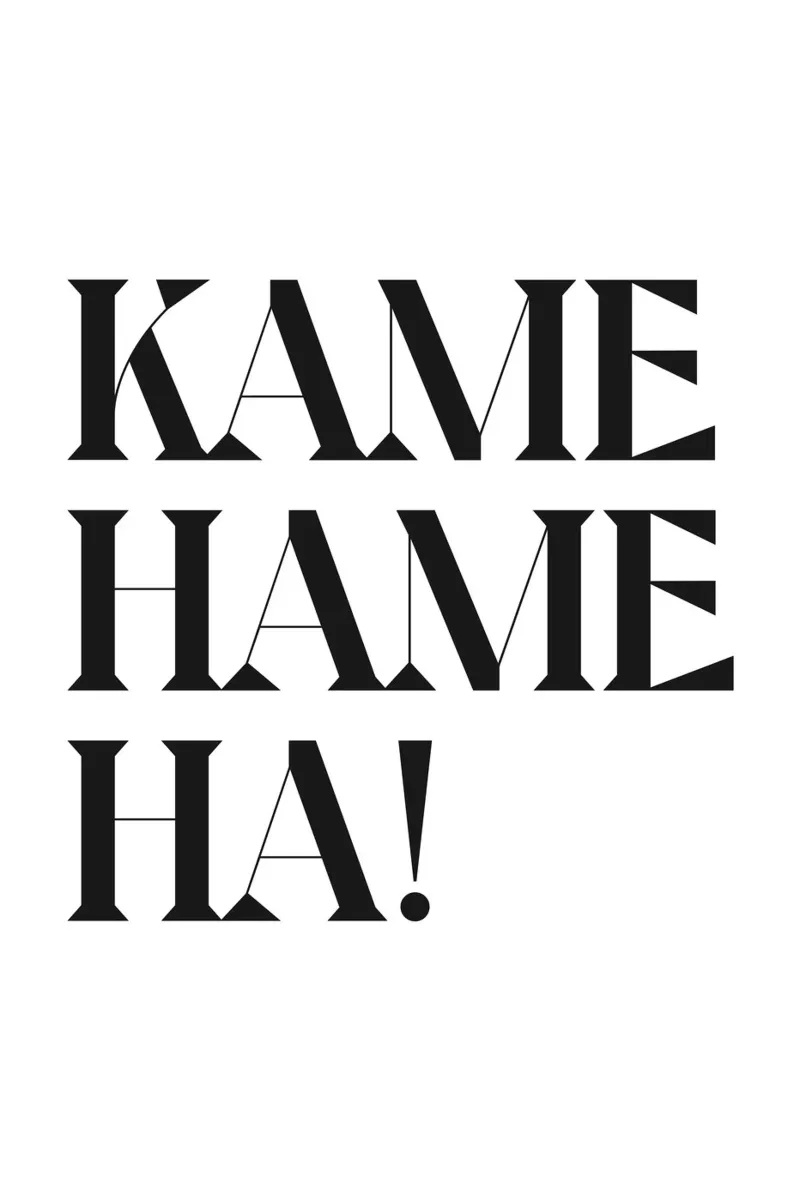 KAME HAME HA alu-dibond by n.4