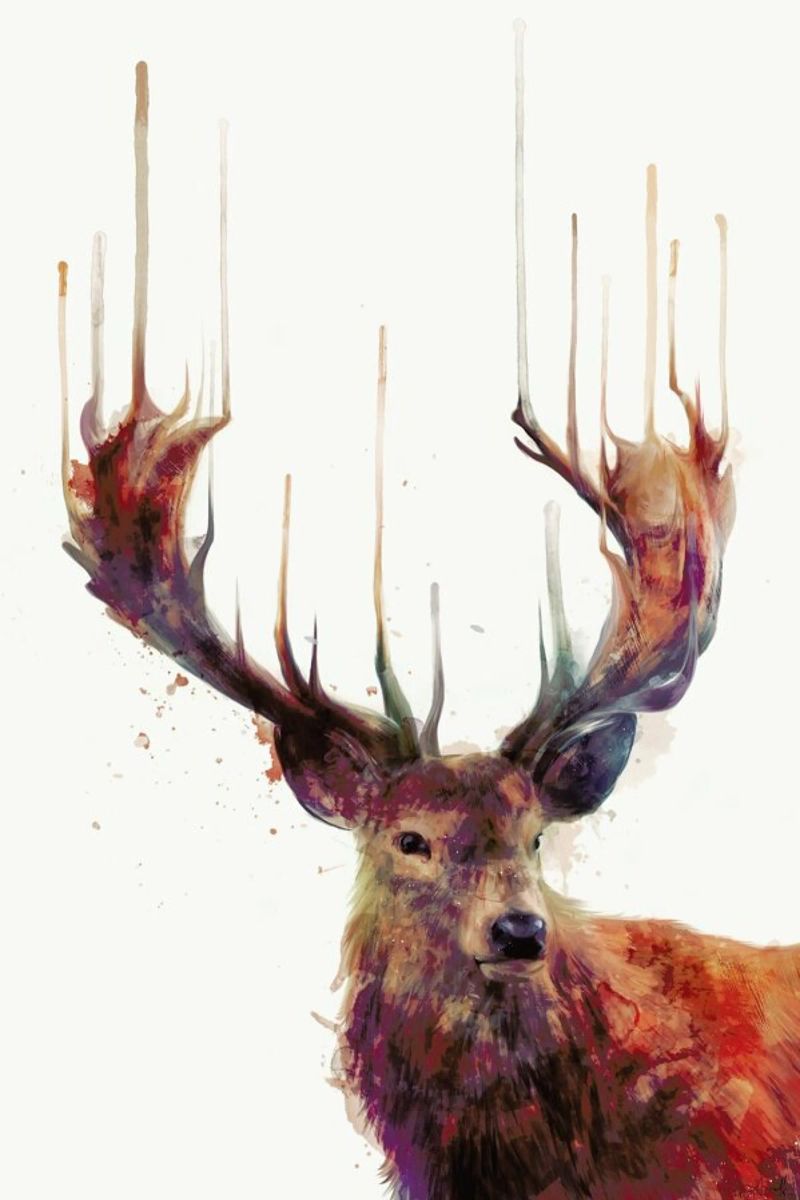 Red Deer Leinwand von Amy Hamilton